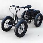 Lightweight Fat Tire 6 Speed Pedal 4 Wheel Off Road Quad Bike Bicycle