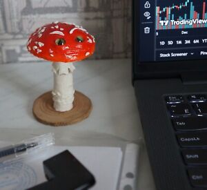 Amanita  mushroom with eyes fly agaric table ornament funny home decor