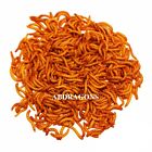 Live Mealworms Sizes: All Qty:50-2,000 Free Shipping or FedEx!!