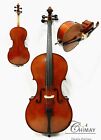 Solid Wood 3/4 Size Cello, Good Set-up +Prelude Strings + Bow + Bag + Rosin, New