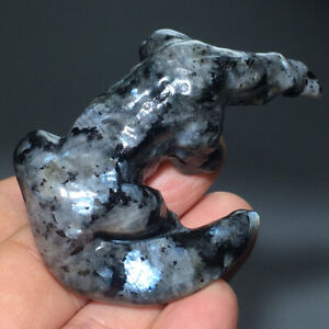 New Listing66g Natural Crystal.spectrolite.Hand-carved.Exquisite cabrite statues.gift A36