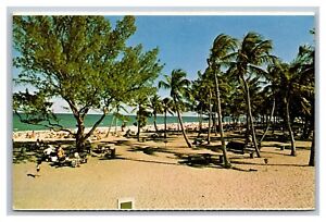 South, FL Florida, Beach Bathing Scene, Alamo Rental Cars, Unposted Postcard