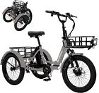 Electric Trike Adults, 3 Wheel Electric Bicycle 450lbs 20