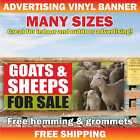 GOATS SHEEPS FOR SALE Advertising Banner Vinyl Mesh Sign Farm Animals Live Chick