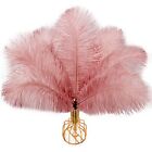20Pcs Dirty Pink Ostrich Feathers Natural Bulk 10-12Inch 25-30Cm for Wedding