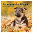 2024 German Shepherd Puppies Monthly Wall Calendar by Bright Day, 12 x 12 Inch C