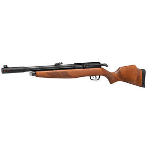 Gamo Arrow PCP Classic .22 caliber wood stock rifle 10 shot pellet rifle