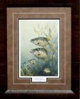 Terry Doughty Black Crappies Framed Fishing Print