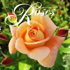 Browntrout,  Roses 2024 Wall Calendar