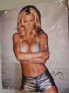Jenny McCarthy Hot Pants Poster 1996 23X35 fine Play Boy