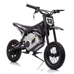 36V Electric Mini Dirt Motorcycle for Kids 350W Stepless Variable Speed Drive