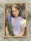 (TWICE) Nayeon More & More Gold And Pre Order Photocard Official