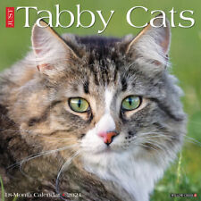 Willow Creek Just Tabby Cats 2021 Wall Calendar 12