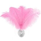 10 pcs Pink Ostrich Feather Plumes 10-12 inch(25-30 cm) Bulk for DIY Clothing...