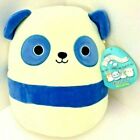 Squishmallows Scout The Panda 8 inch Plush Toy - Blue