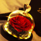 Eternal Real Flower Preserved Rose Valentines Anniversary Glass Dome Gift Box ∞