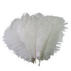 10Pcs Natural White Ostrich Feathers 12-14 in/8-10 in Diy Carnival Accessories