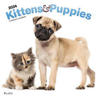 Browntrout Kittens & Puppies 2024 12 x 12 Wall Calendar w