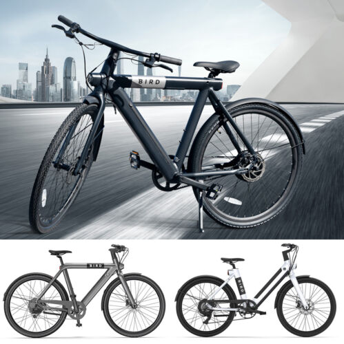Adults BirdBike E-bike 36V 500W App Control Alloy Frame Electric Bike Disc Brake