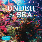 Under the Sea 2024 12