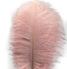 10pcs Ostrich Feathers 12-14 inch(30-35cm) Plume Home Wedding Decoration（Ligh...