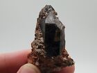 Colorado Smoky Quartz & Muscovite Crystal-Multiple Stage Growth Mineral Specimen
