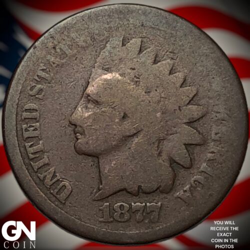 1877 Indian Head Cent Penny Y2579