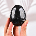 Single Healing Crystal Rock Egg Orthoceras Stone Large with Base, Home Decor Col