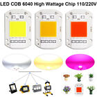 20/30/50W High Power COB LED Chip 3000K 6500K Full Spectrum Floodlight Lamp Bead