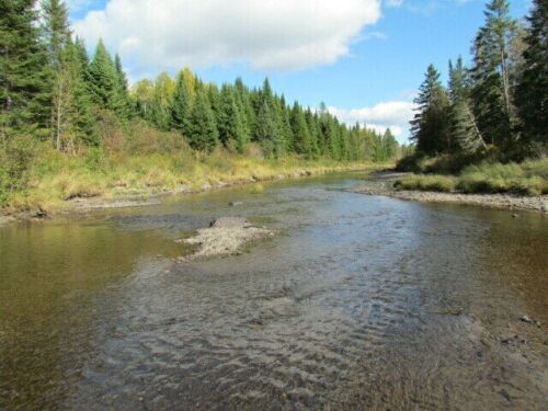 ***32.5+/- ACRES IN NORTHERN MAINE***