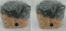 2 All in One Mushroom Grow Bags Sterilized 3.5lb GROWING BIO-BAG KIT FAST SHP[B]