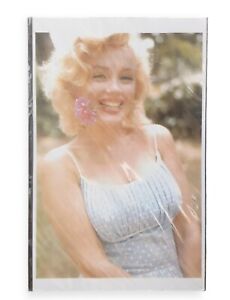 Marilyn Monroe With Rose 11 X 17 Inch Photo Print Unframed New
