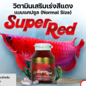 CZ ARO PLUS Super Red vitamins fish capsule dragon arowana  color enhancement