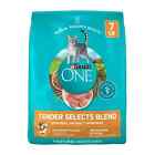 Purina ONE Tender Selects Blend With Real Chicken Digestive Natural Dry Cat Food