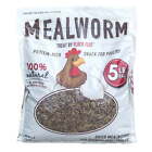 Dried Mealworms for Chickens, Wild Birds, Ducks, and Small Pets, 5 lbs. Bag