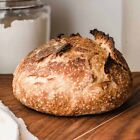 San Francisco Sourdough Starter 140 years old from SF Bakery Active 15 Gram Bag