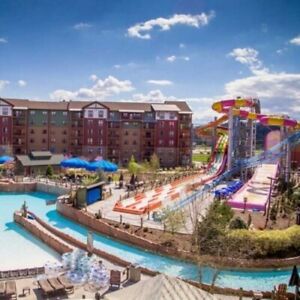 May 27 to 30: 1BR Condo for 4 Wyndham Great Smokies Lodge @ Wilderness WaterPark