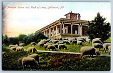 Mansion House and Flock of Sheep Baltimore Maryland Postcard
