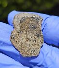 Meteorite**NWA 14899; Martian Olivine Gabbroic Sherg.**2.562 gram;GOLDEN MARTIAN