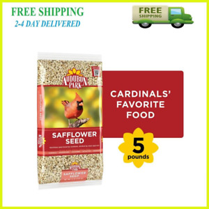 Audubon Park Safflower Seed Wild Bird Food, 5 lb. Bag - Free & Fast Shipping
