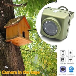 Outdoor Mini IR IP POE Cameras Night Vision Wide Angle Surveillance Bird Cage