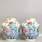 New ListingA Pair Chinese Hand Painting Famille Rose Porcelain Flowers Plants Pot
