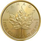 2023 Canada Gold Maple Leaf 1/2 oz .9999 Fine Gold $10 Coin - Sealed