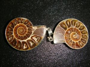 New Listing2 NATURAL FACE POLISHED AMMONITE PENDANTS   ERFOUD  MOROCCO   32  GRAMS