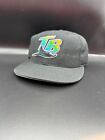 VTG Tampa Bay Devil Rays New Era Wool Fitted Hat Cap 7 1/8