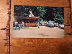 1952 PA Lehighton Kriss Pines Trout Hatchery Vintage TRUCK  postcard D34