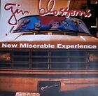 GIN BLOSSOMS  NEW MISERABLE EXPERIENCE - VINYL LP 