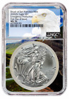 2020 (s) Emergency Production Silver Eagle NGC MS70 First Day Eagle Core