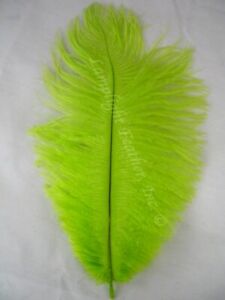 Lime Ostrich Feather 16-20 inch Long per Each