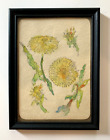 Antique Victorian Watercolor Painting Botanical Floral Flower Dandelion